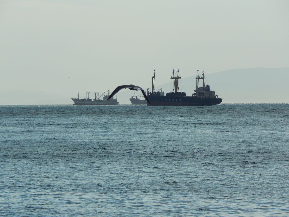 К кораблям на рейде. 2021.