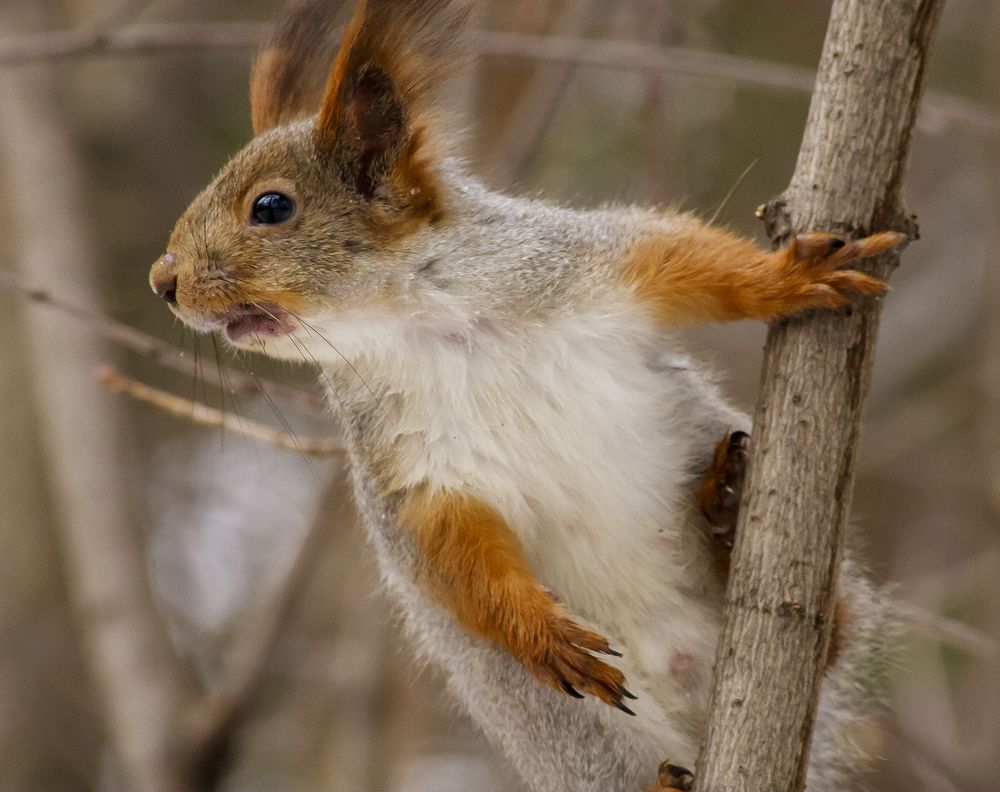 Photograph by Алексей Патлах