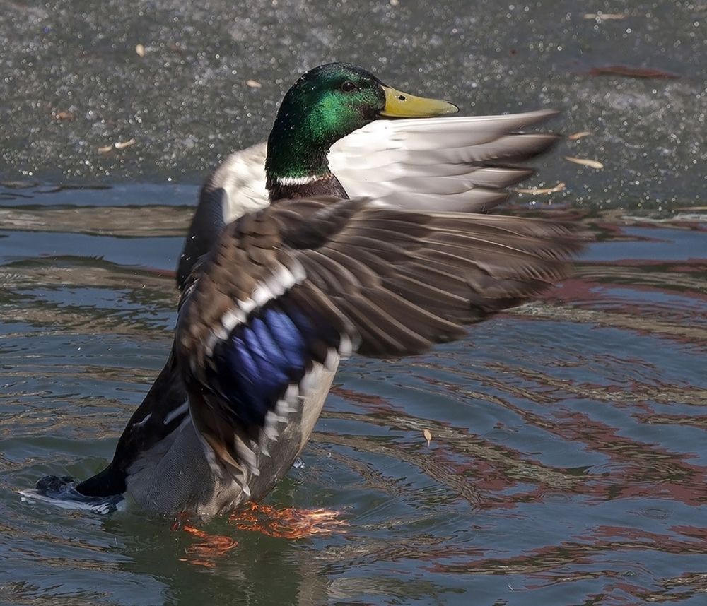 Photograph by Алексей Патлах