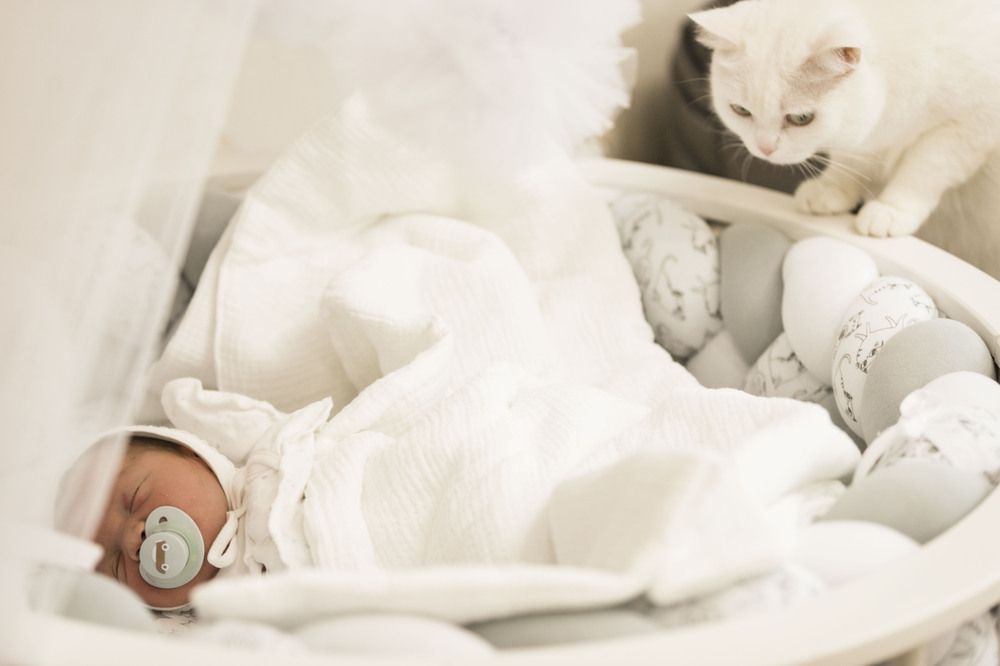 Photograph by ИРЕНА Цурпал