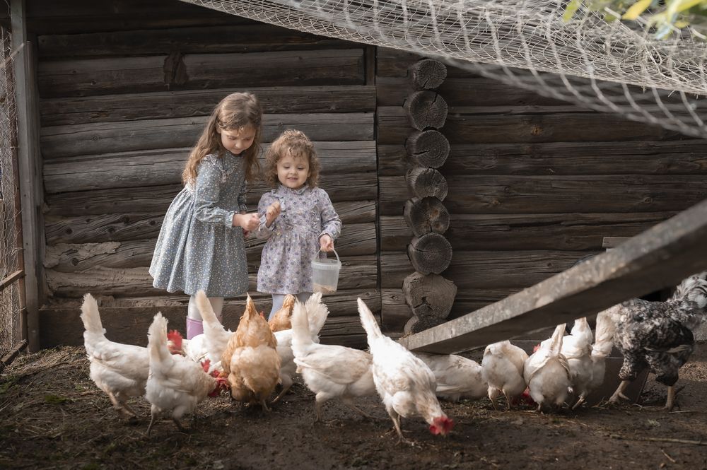 Photograph by Лилия Морозова