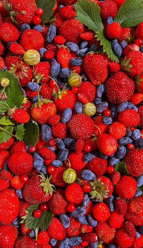 Photograph by OLGA LIZ