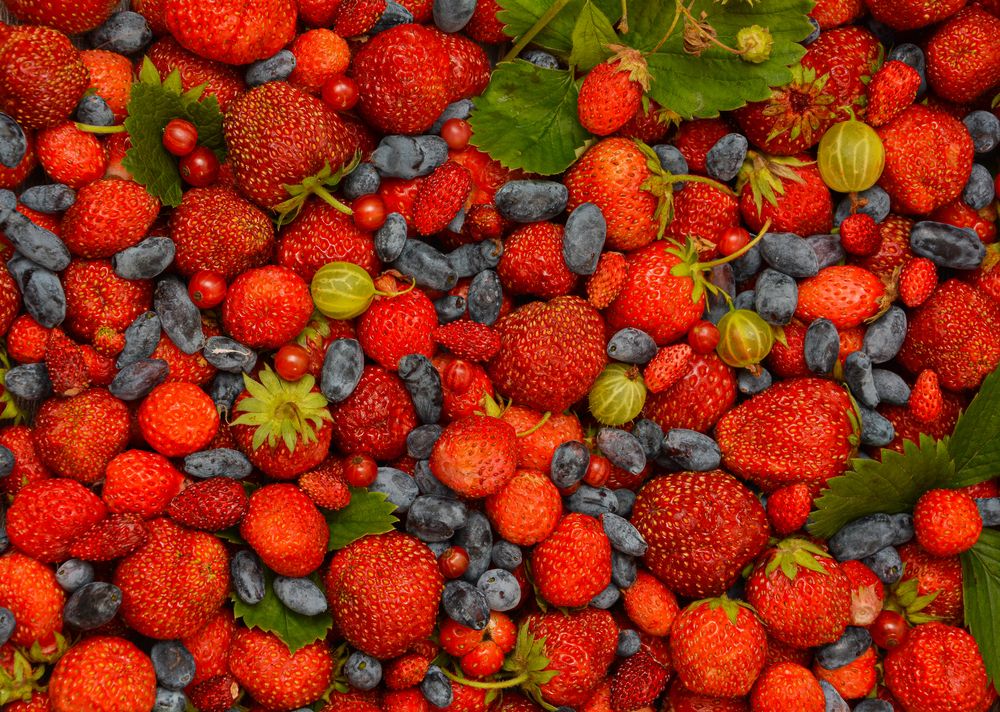 Photograph by OLGA LIZ