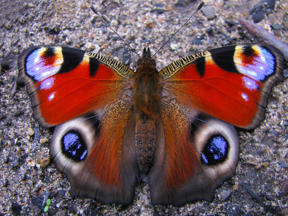 Photograph by Виктор Карпухин