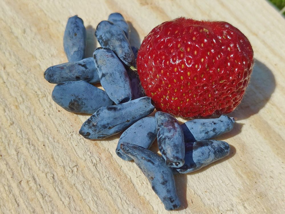 Photograph by Виталий Черепенькин