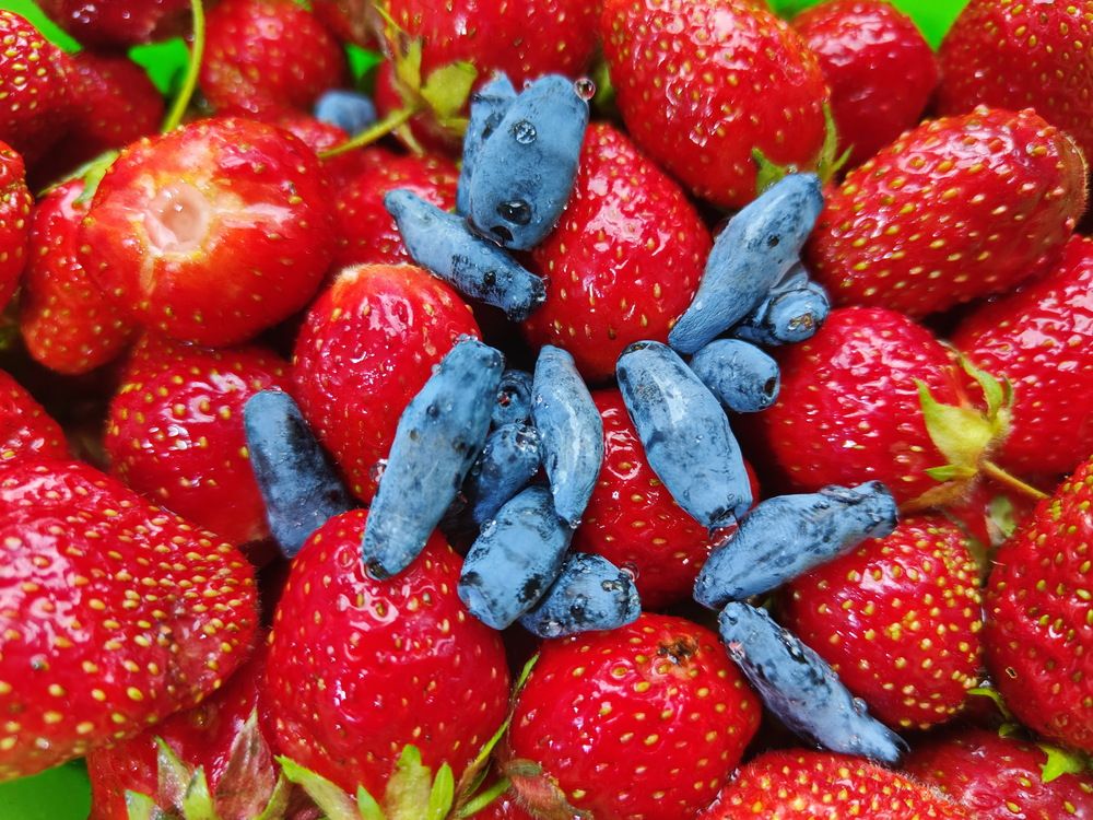 Photograph by Виталий Черепенькин