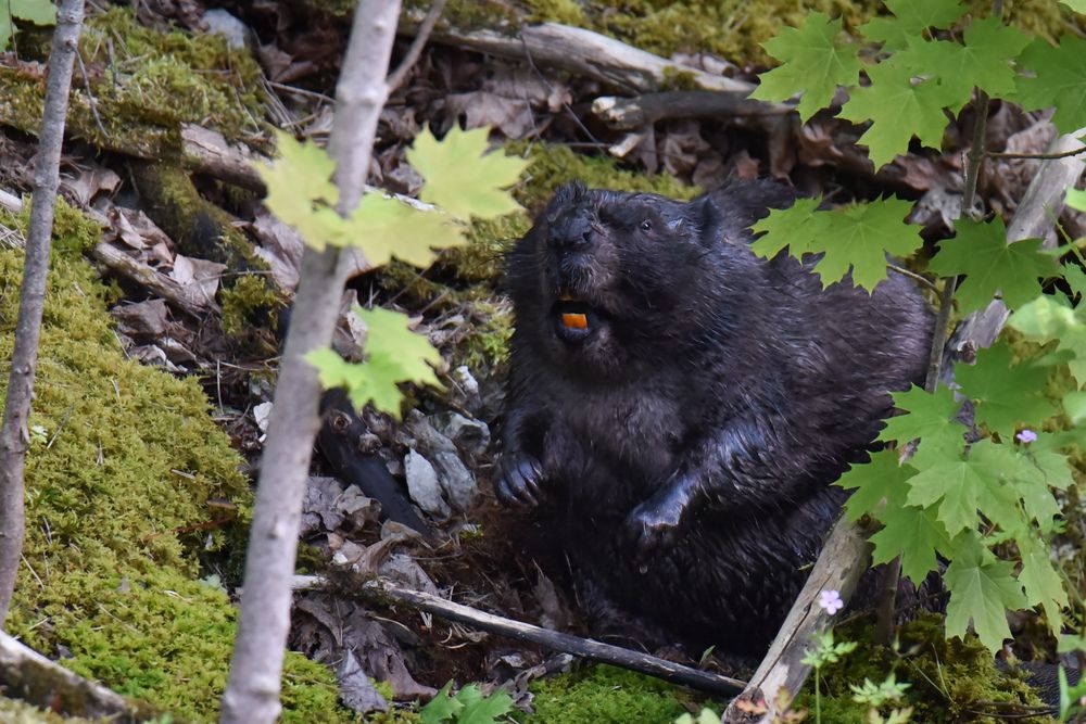 Photograph by Ljudmilla Pavljutsenkova