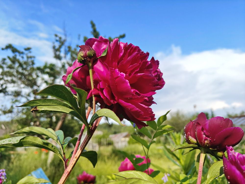 Photograph by Виталий Черепенькин