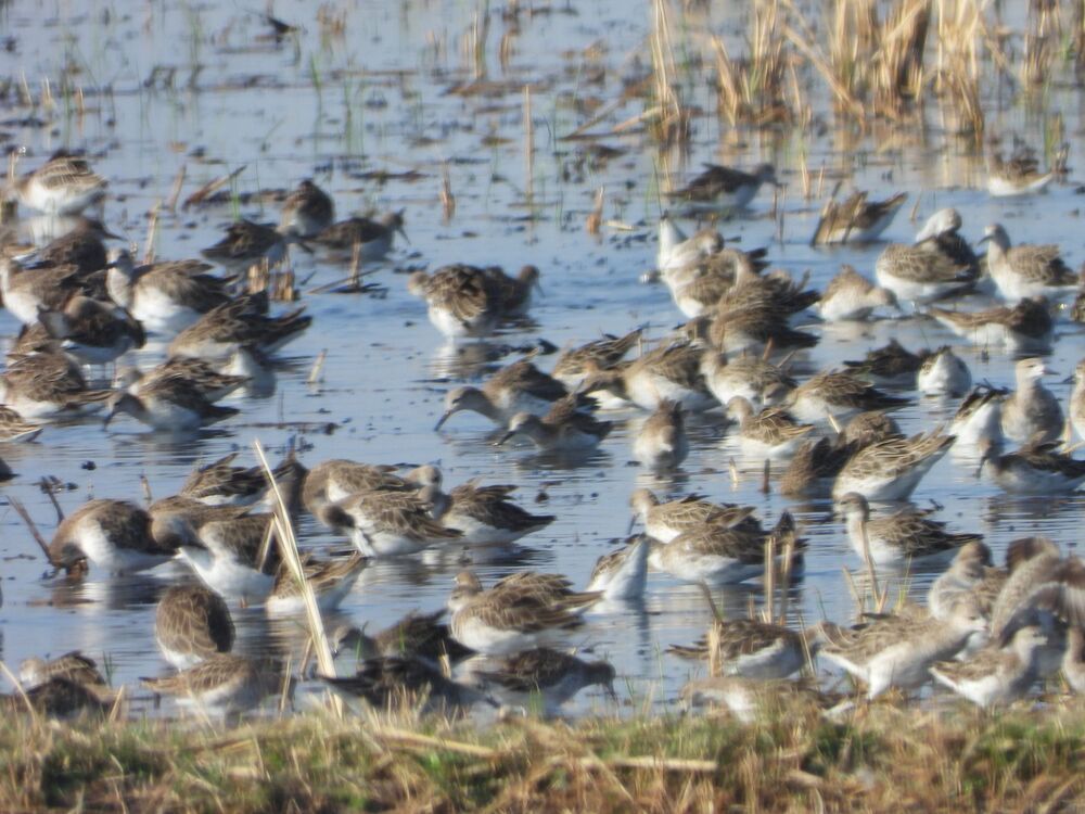 Photograph by Sougata Bhar