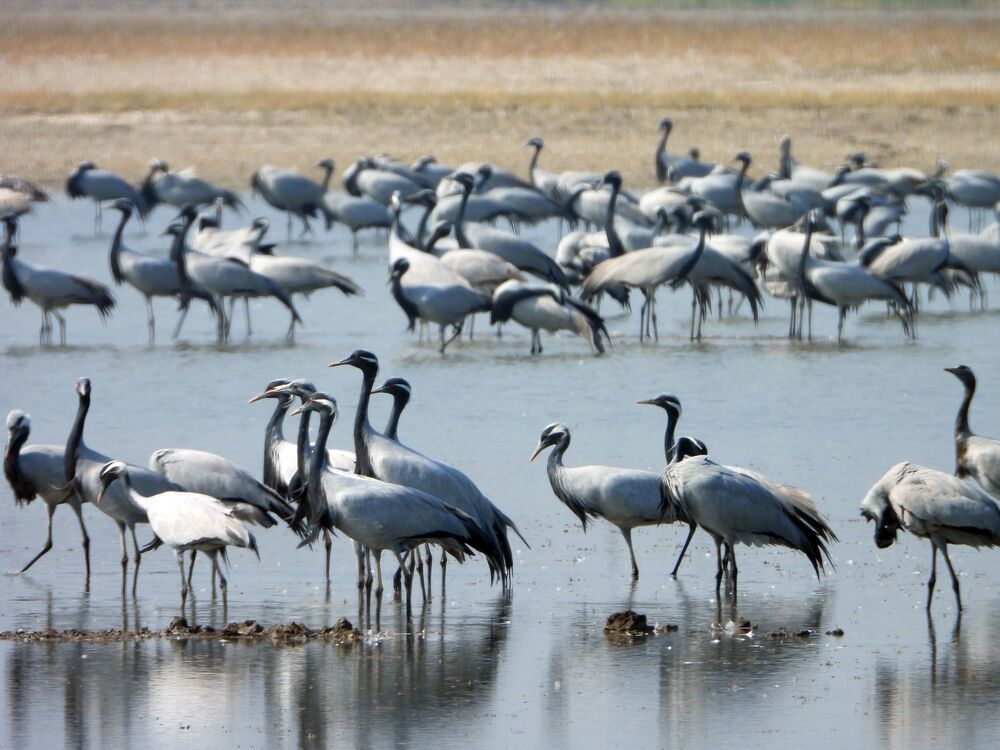 Photograph by Sougata Bhar