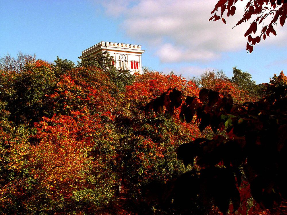 Фотография автора Всеволод