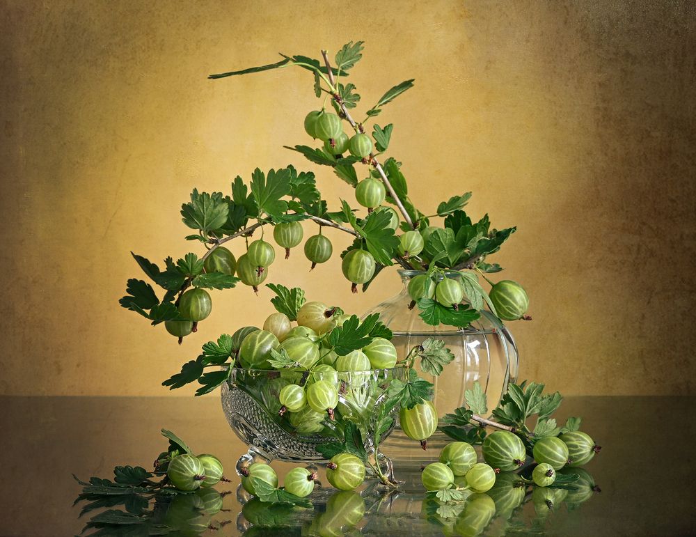 Photograph by Inna Ivanova