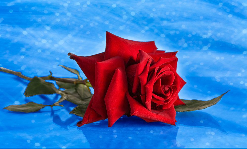 Photograph by Inna Ivanova