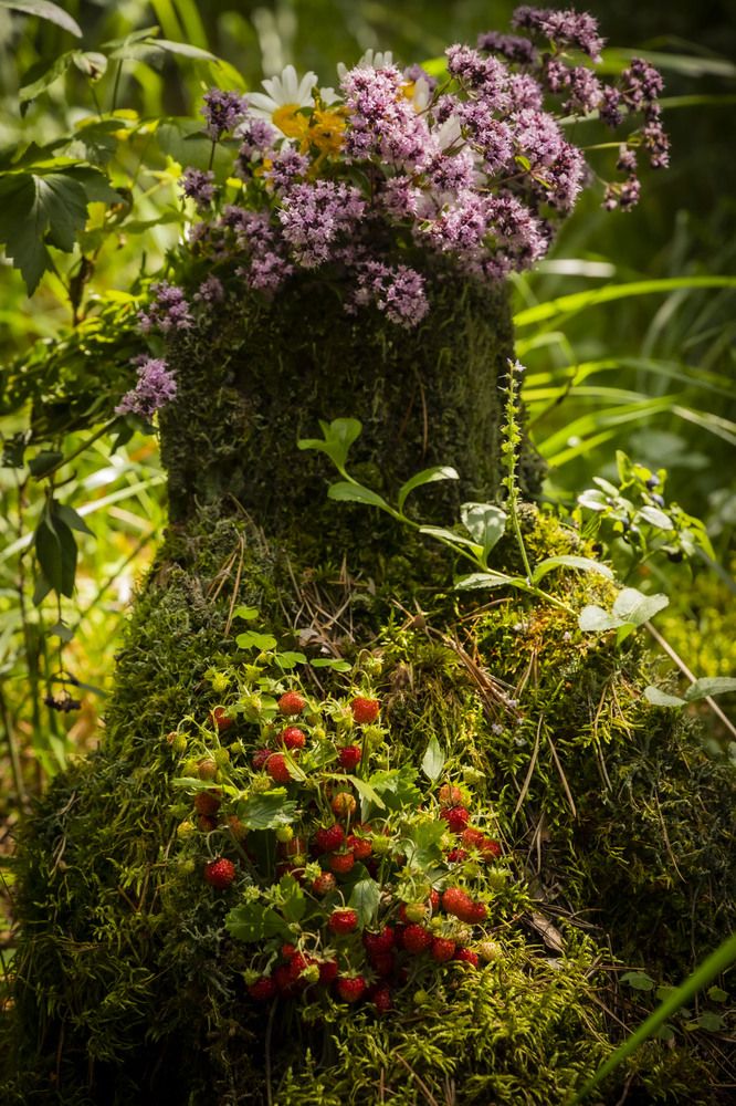 Photograph by Елена Перминова