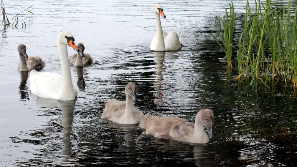 Photograph by Алексей Макаров