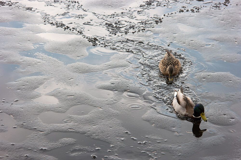 Photograph by Дмитрий Ткаченко