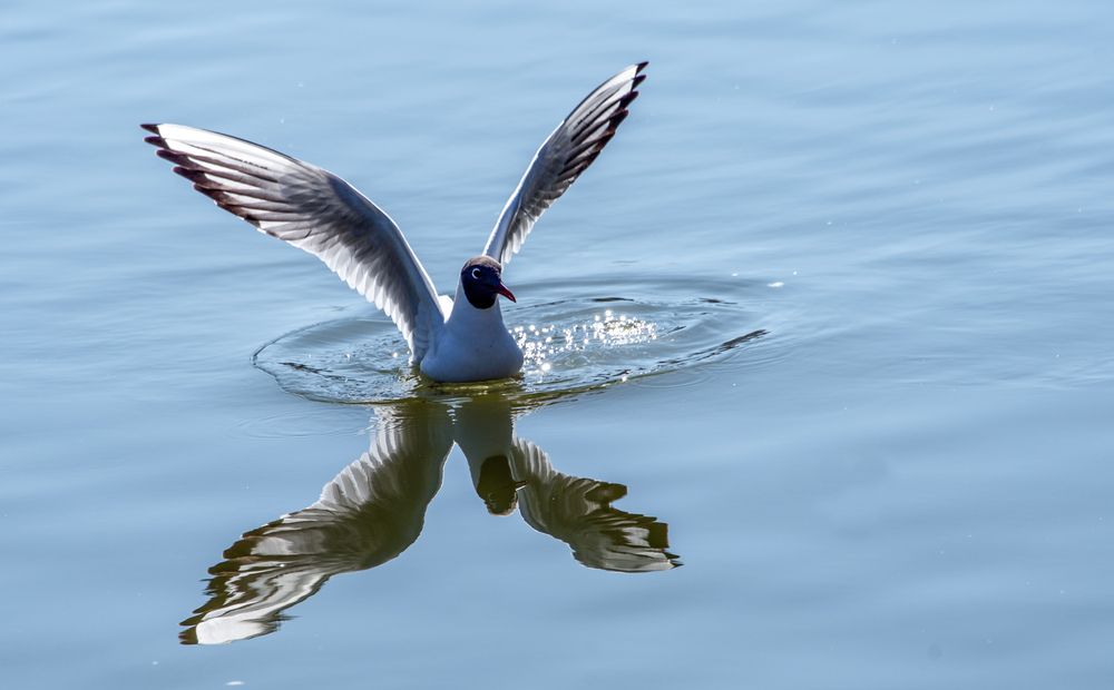 Photograph by Дария Ризниченко