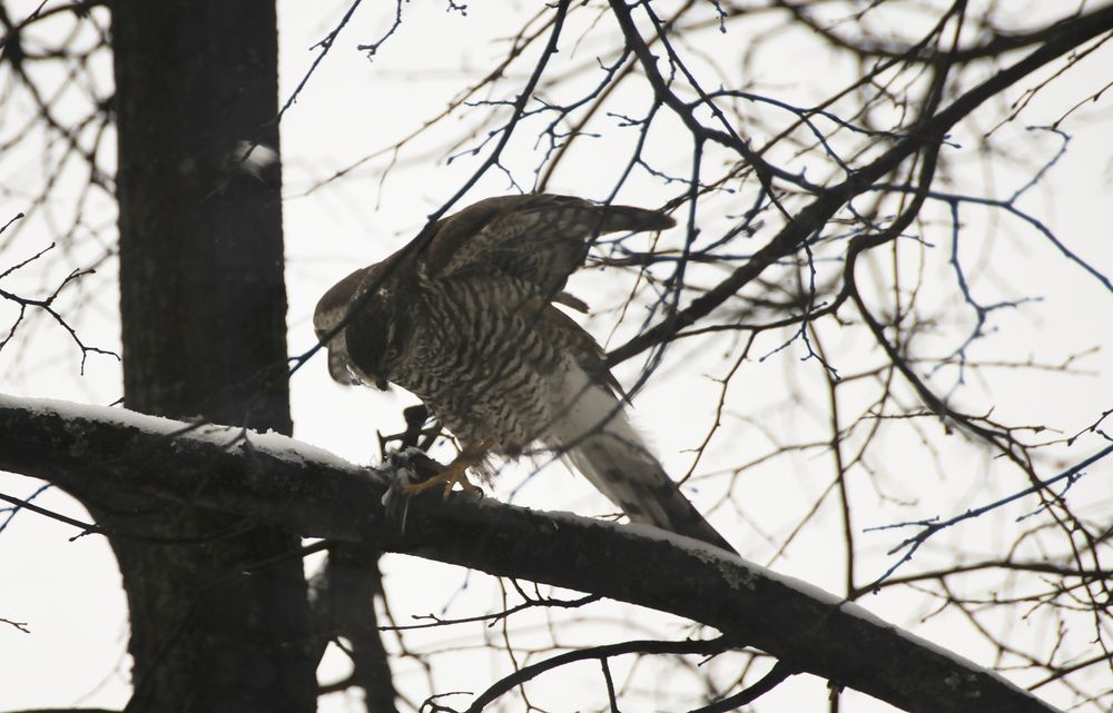 Photograph by Дария Ризниченко