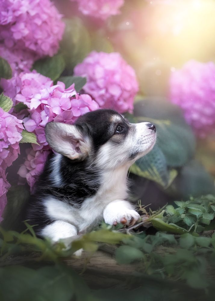 Photograph by Наталья Орел