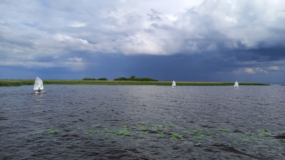 Regata