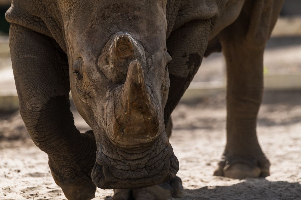 Photograph by Рыков Андрей