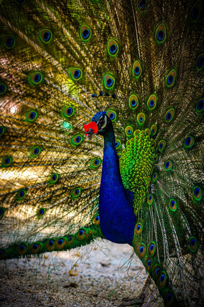 Photograph by Михаил Лупина