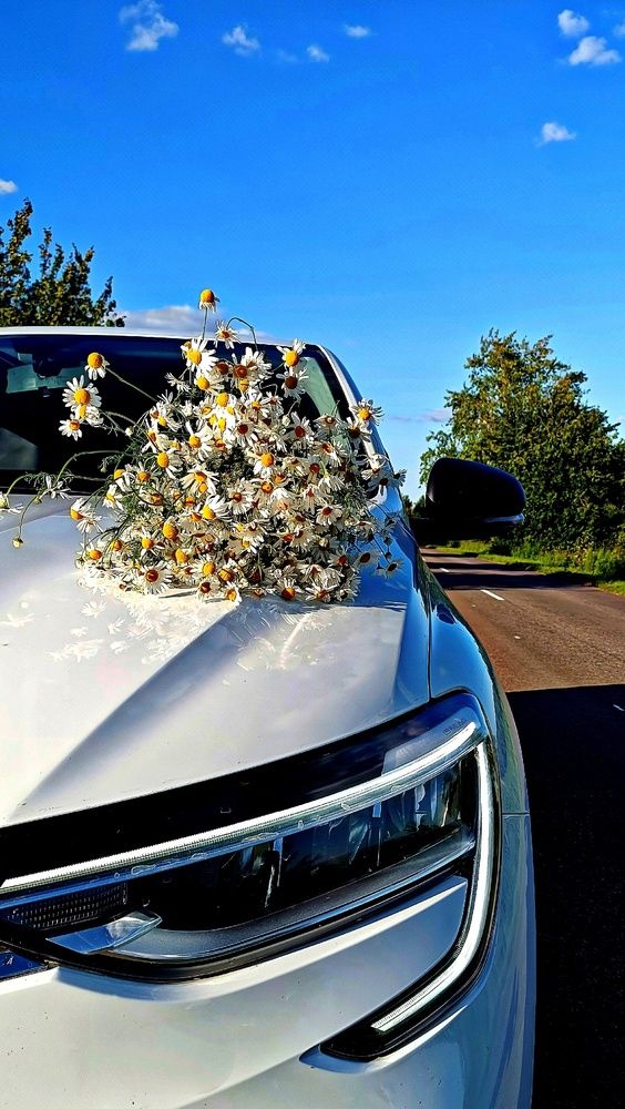 Дорожная романтика