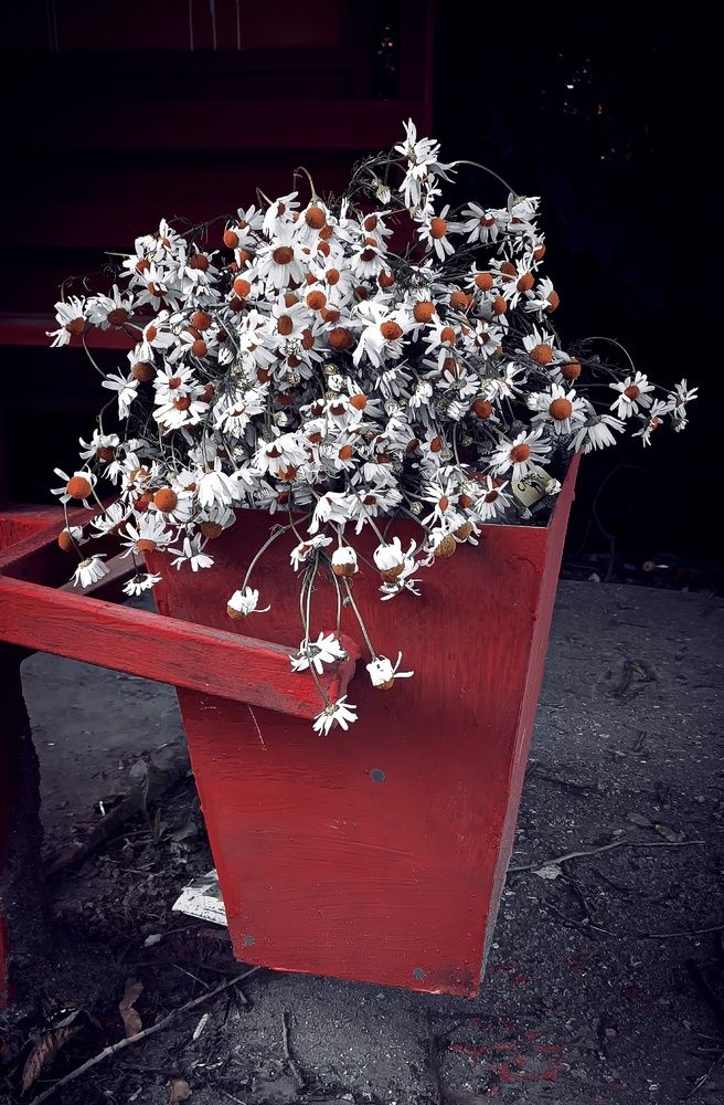 Разочарование любви