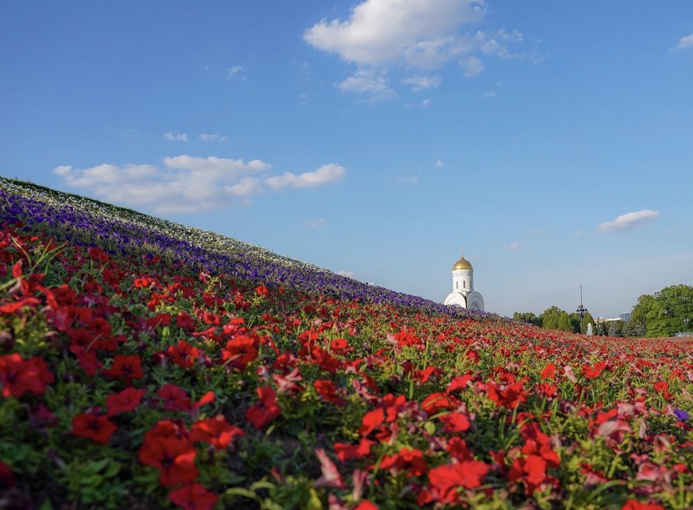 Photograph by Магомедова Айшат