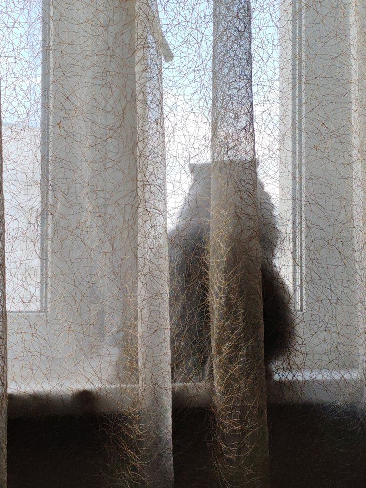 Photograph by Ольга Сошина