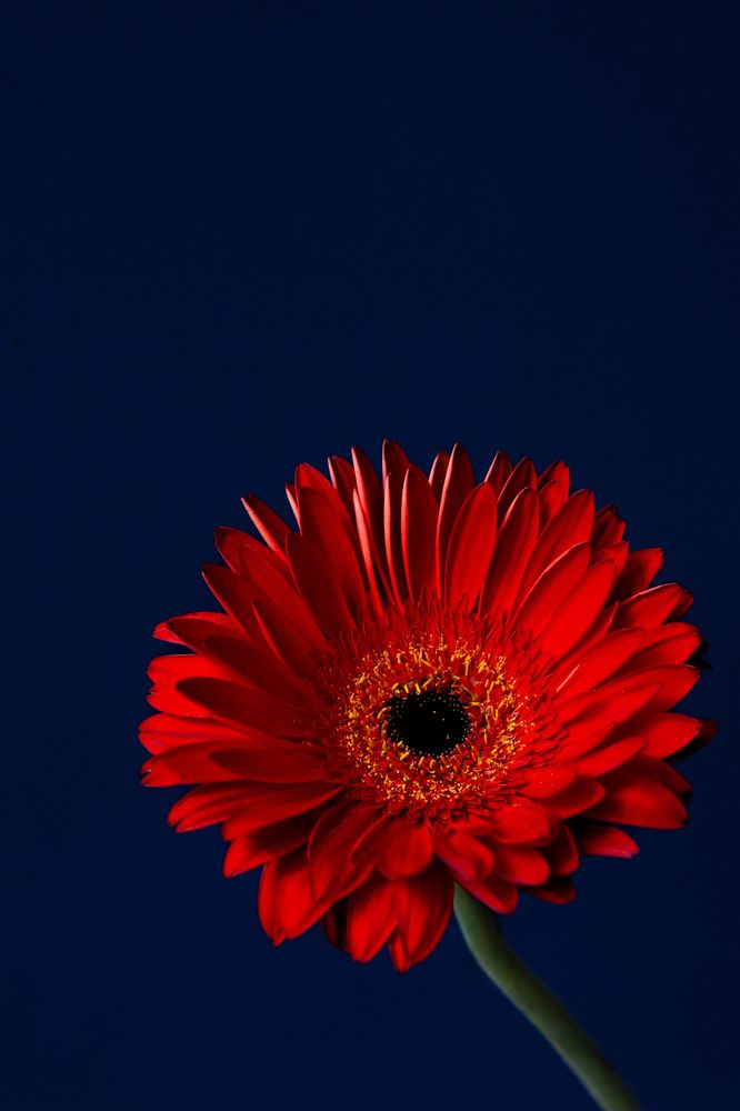 Photograph by Наталья Кириченко