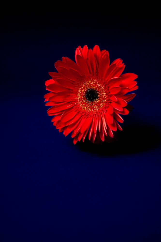 Photograph by Наталья Кириченко