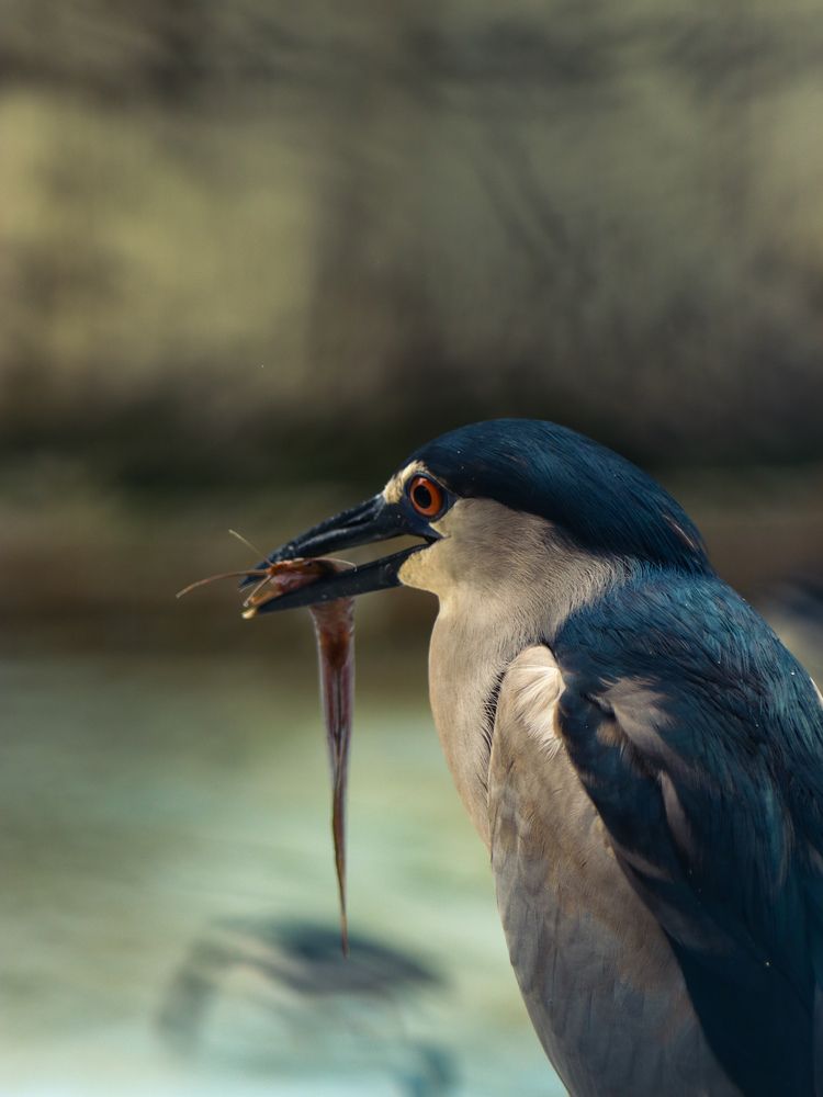 Hunting for hunger