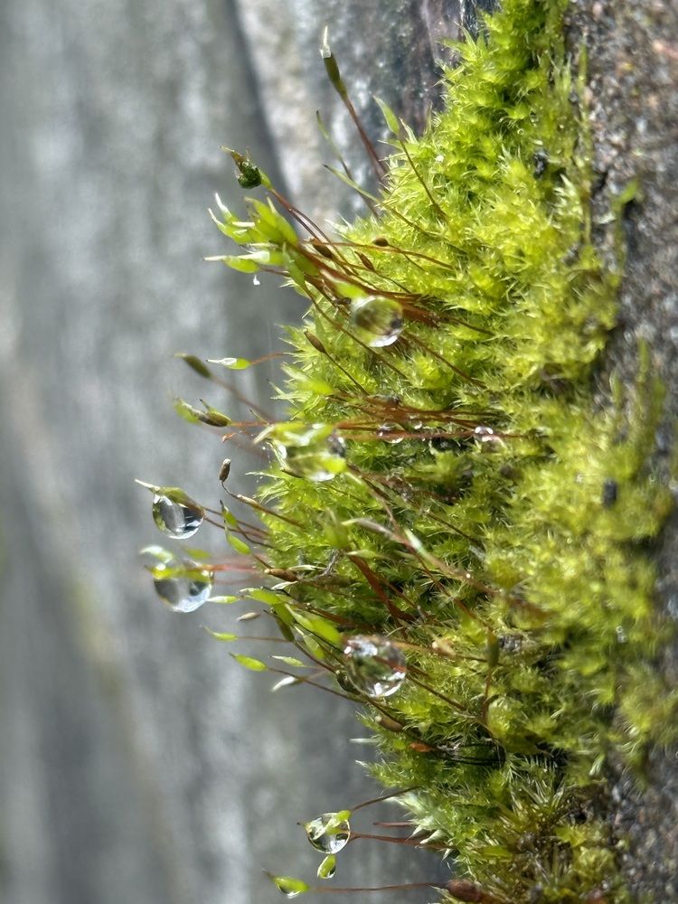 Photograph by Бондаренко Светлана