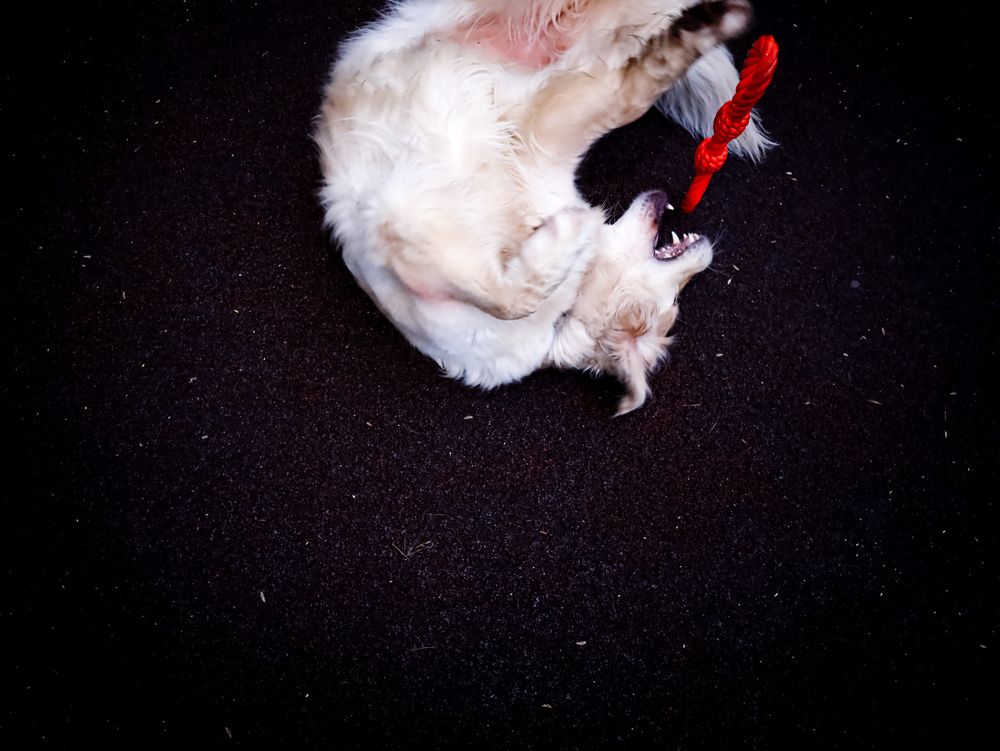 Фотография автора Боков Дмитрий