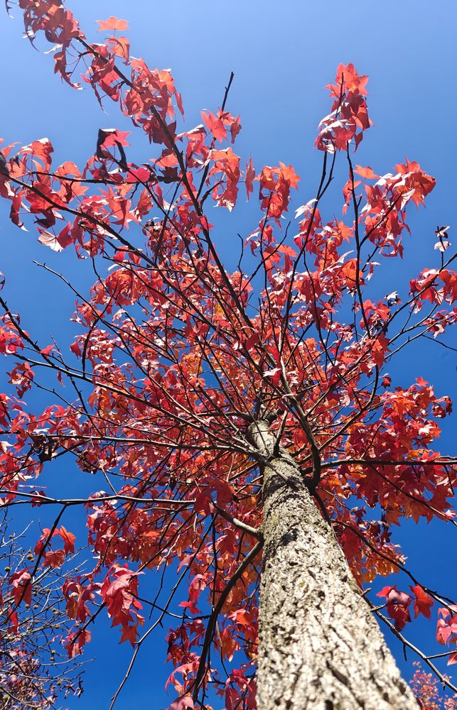 Photograph by Grădinaru Catalin