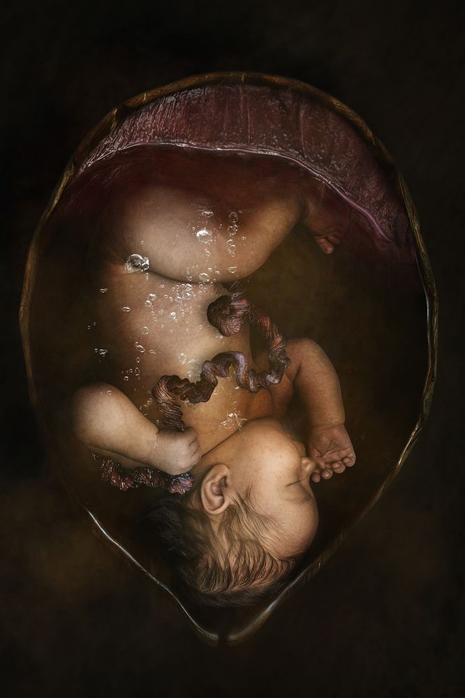 Photograph by Lia Lo