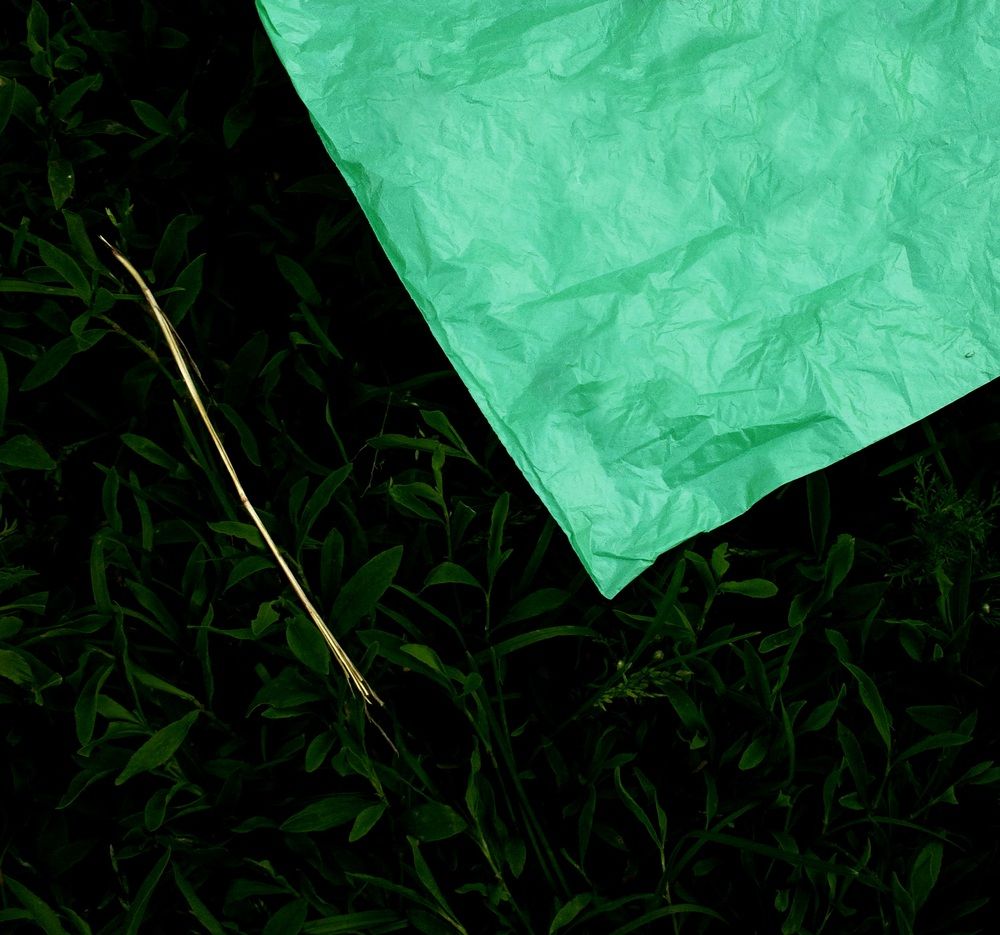 Photograph by Филоненко Николай