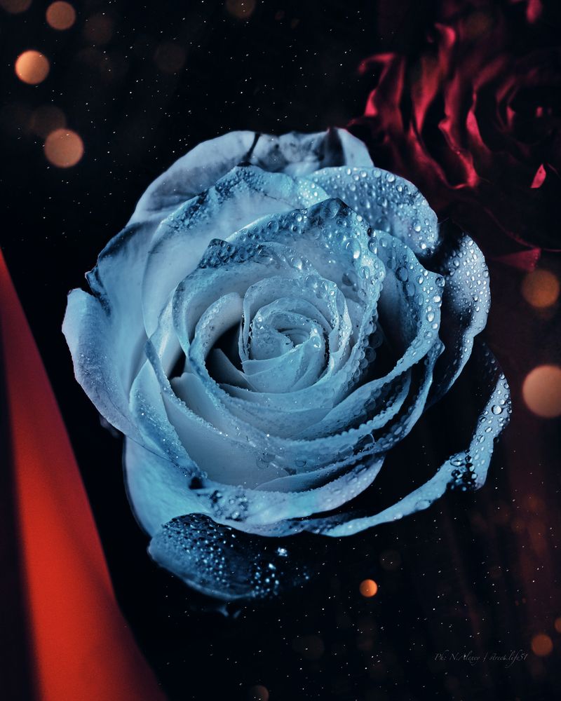 Photograph by Алексей Немчинов