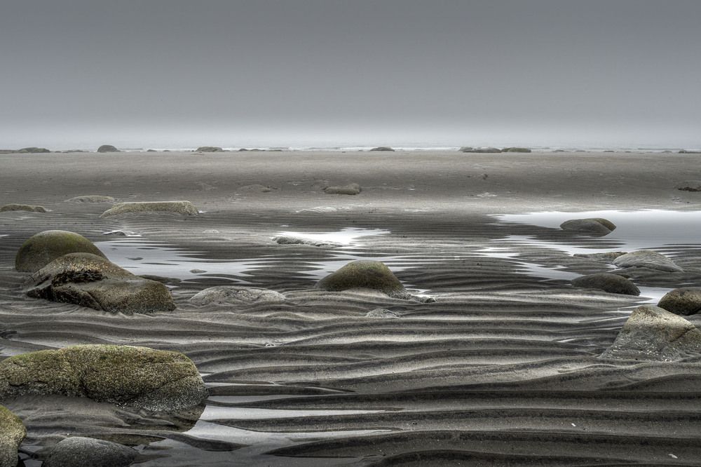 Photograph by Светлана Гореликова