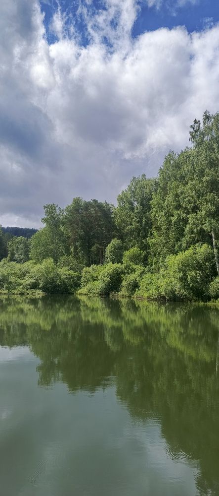 Фотография автора Ольга Петрова
