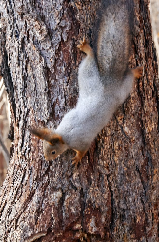 Photograph by Алексей Патлах