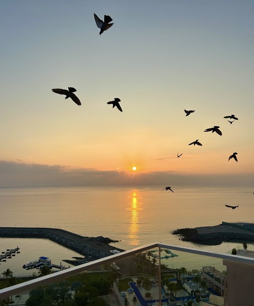 Photograph by Амирова Анар