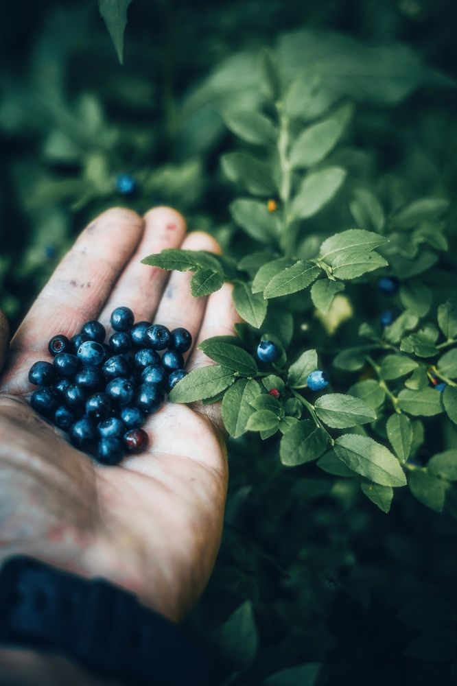 Photograph by Игорь Лузин