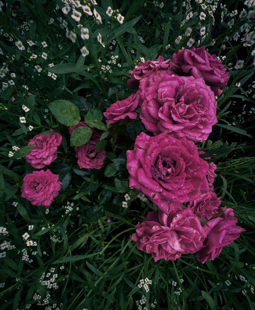 Photograph by Анна Пудовкина