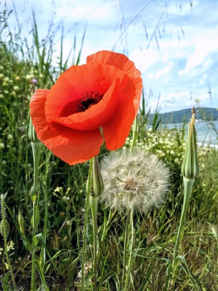 Photograph by Анна Андреевна