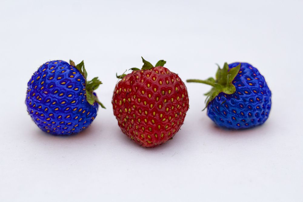 Photograph by Елена Фатьянова