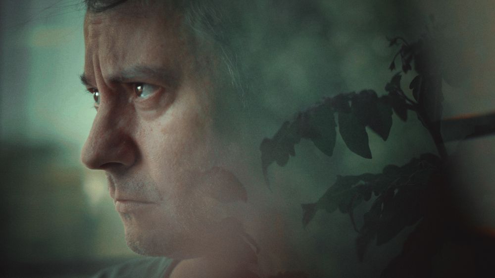 Photograph by Аден Аксинья