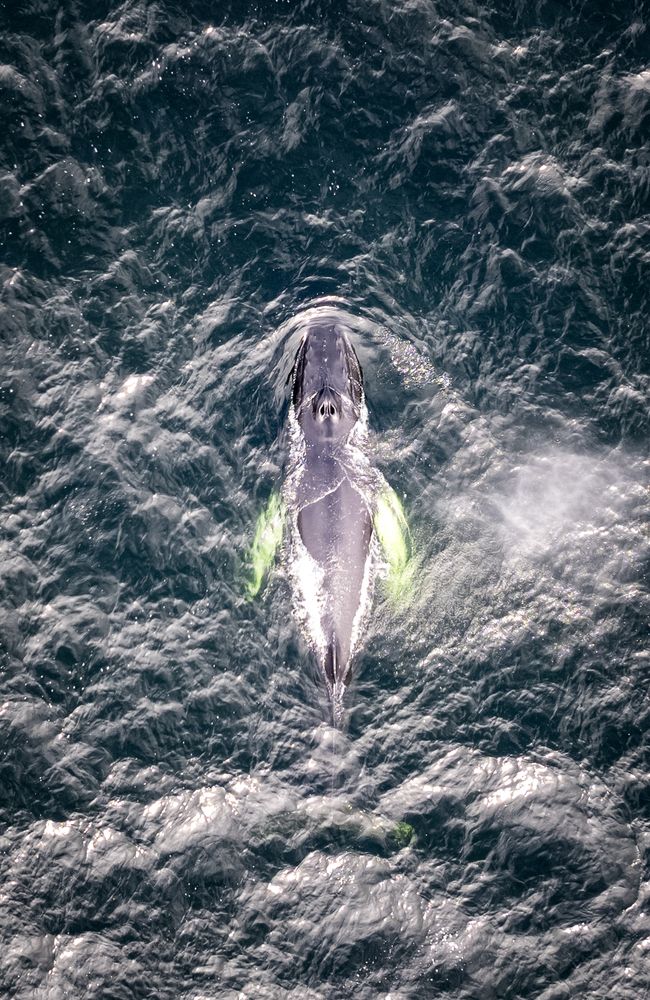 Photograph by Александр Рудный