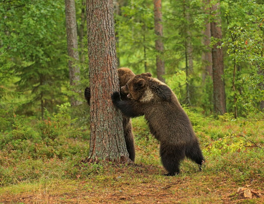 Photograph by Юрий Кетель